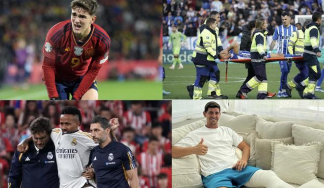 不仅增进了 不仅增进了